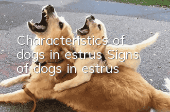 Characteristics of dogs in estrus Signs of dogs in estrus