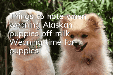 Things to note when weaning Alaskan puppies off milk Weaning time for puppies
