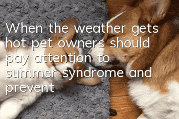 When the weather gets hot, pet owners should pay attention to summer syndrome and prevent dog heat stroke in summer.