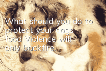 What should you do to protect your dog’s food? Violence will only backfire.