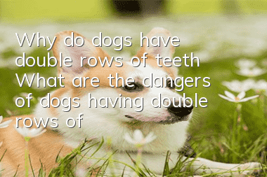 Why do dogs have double rows of teeth? What are the dangers of dogs having double rows of teeth?