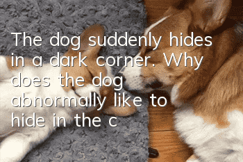 The dog suddenly hides in a dark corner. Why does the dog abnormally like to hide in the corner?