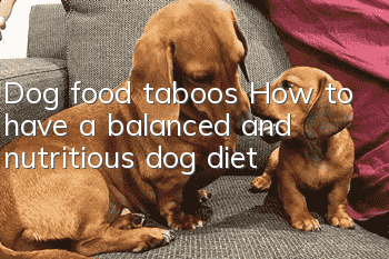 Dog food taboos How to have a balanced and nutritious dog diet