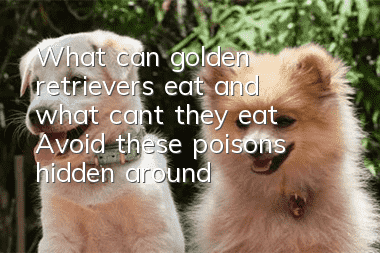 What can golden retrievers eat and what can’t they eat? Avoid these poisons hidden around you.