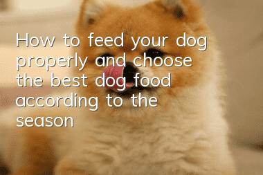 How to feed your dog properly and choose the best dog food according to the season