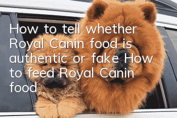 How to tell whether Royal Canin food is authentic or fake? How to feed Royal Canin food?