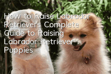 How to Raise Labrador Retrievers Complete Guide to Raising Labrador Retriever Puppies