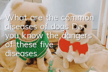 What are the common diseases of dogs? Do you know the dangers of these five diseases?