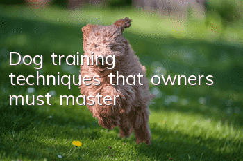Dog training techniques that owners must master