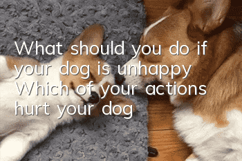 What should you do if your dog is unhappy? Which of your actions hurt your dog?