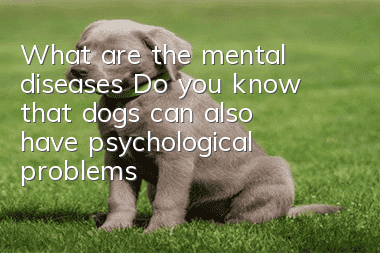 What are the mental diseases? Do you know that dogs can also have psychological problems?