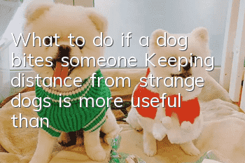 What to do if a dog bites someone? Keeping distance from strange dogs is more useful than anything else.