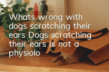 What's wrong with dogs scratching their ears? Dogs scratching their ears is not a physiological action!