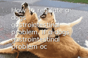 How to regulate a dog’s gastrointestinal problem. If a dog’s gastrointestinal problem occurs, it must be treated quickly!