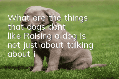 What are the things that dogs don’t like? Raising a dog is not just about talking about it.