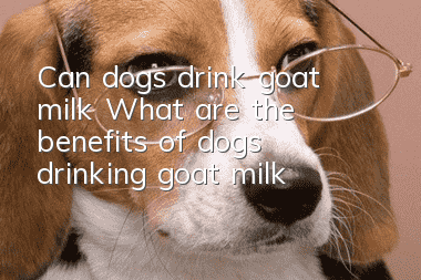 Can dogs drink goat milk? What are the benefits of dogs drinking goat milk?