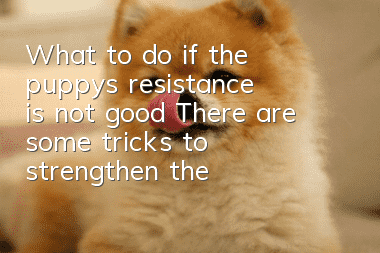 What to do if the puppy’s resistance is not good? There are some tricks to strengthen the resistance