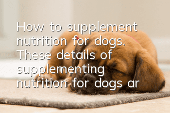 How to supplement nutrition for dogs. These details of supplementing nutrition for dogs are very important!