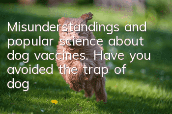 Misunderstandings and popular science about dog vaccines. Have you avoided the trap of dog vaccination?