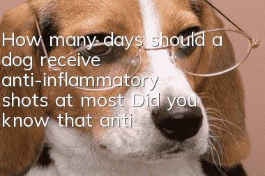 How many days should a dog receive anti-inflammatory shots at most? Did you know that anti-inflammatory shots are antibiotics?