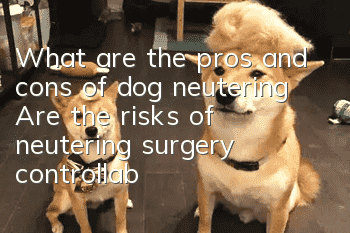 What are the pros and cons of dog neutering? Are the risks of neutering surgery controllable?