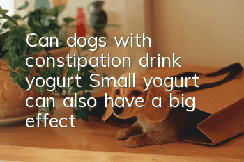Can dogs with constipation drink yogurt? Small yogurt can also have a big effect