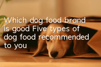 Which dog food brand is good? Five types of dog food recommended to you