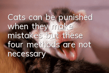 Cats can be punished when they make mistakes, but these four methods are not necessary
