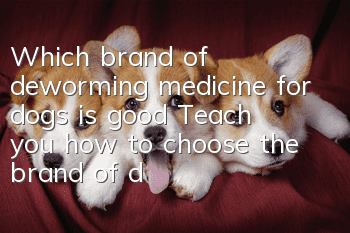 Which brand of deworming medicine for dogs is good? Teach you how to choose the brand of deworming medicine for dogs