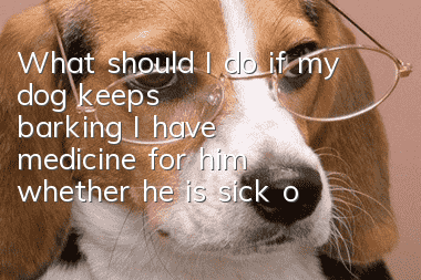 What should I do if my dog ​​keeps barking? I have medicine for him whether he is sick or not.
