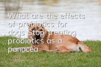 What are the effects of probiotics for dogs? Stop treating probiotics as a panacea