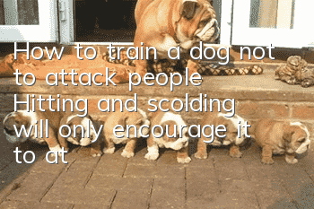 How to train a dog not to attack people? Hitting and scolding will only encourage it to attack people.