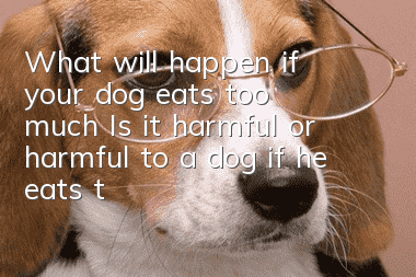 What will happen if your dog eats too much? Is it harmful or harmful to a dog if he eats too much?