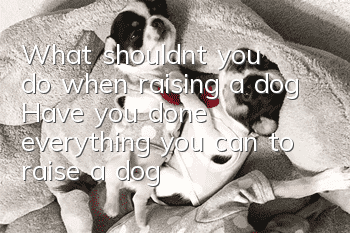 What shouldn’t you do when raising a dog? Have you done everything you can to raise a dog in a civilized manner?