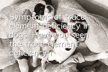 Symptoms of trace element deficiency in dogs. Have you seen the trace element deficiency in dogs?