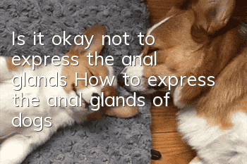 Is it okay not to express the anal glands? How to express the anal glands of dogs?