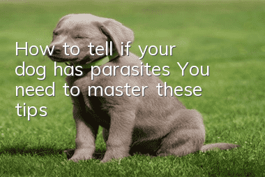 How to tell if your dog has parasites? You need to master these tips