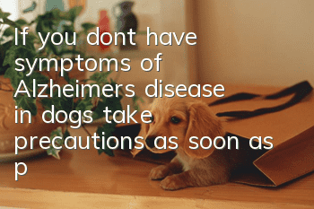 If you don’t have symptoms of Alzheimer’s disease in dogs, take precautions as soon as possible
