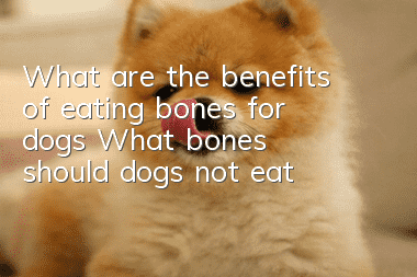 What are the benefits of eating bones for dogs? What bones should dogs not eat?