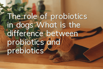 The role of probiotics in dogs What is the difference between probiotics and prebiotics?
