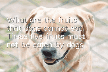 What are the fruits that dogs cannot eat? These five fruits must not be eaten by dogs