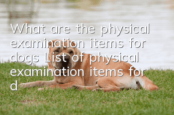 What are the physical examination items for dogs? List of physical examination items for different ages