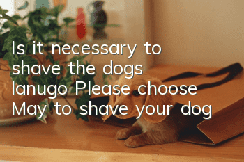 Is it necessary to shave the dog’s lanugo? Please choose May to shave your dog!