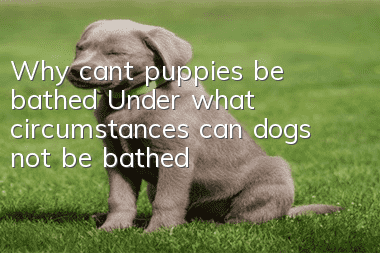 Why can’t puppies be bathed? Under what circumstances can dogs not be bathed?