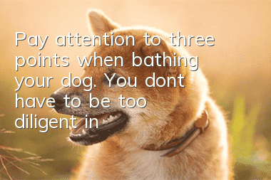 Pay attention to three points when bathing your dog. You don’t have to be too diligent in bathing your dog.