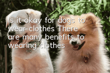 Is it okay for dogs to wear clothes? There are many benefits to wearing clothes