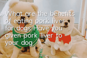 What are the benefits of eating pork liver for dogs? Have you given pork liver to your dog?