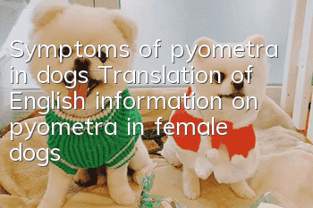 Symptoms of pyometra in dogs Translation of English information on pyometra in female dogs