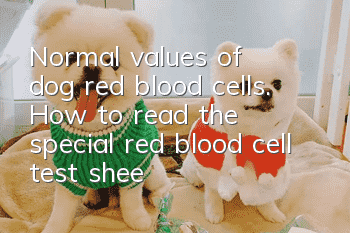 Normal values of dog red blood cells. How to read the special red blood cell test sheet