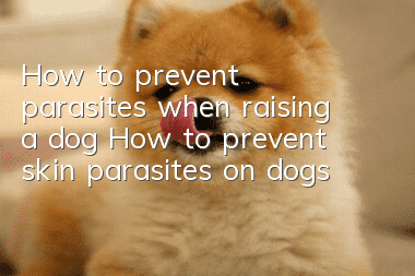 How to prevent parasites when raising a dog How to prevent skin parasites on dogs